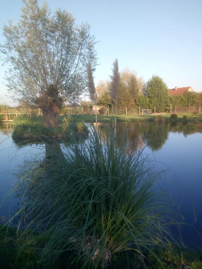 Chambre Coin Nature Fromelles Екстериор снимка