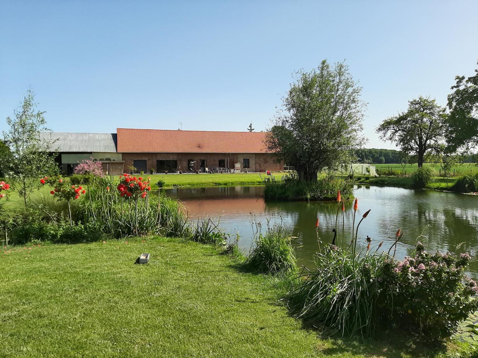 Chambre Coin Nature Fromelles Стая снимка